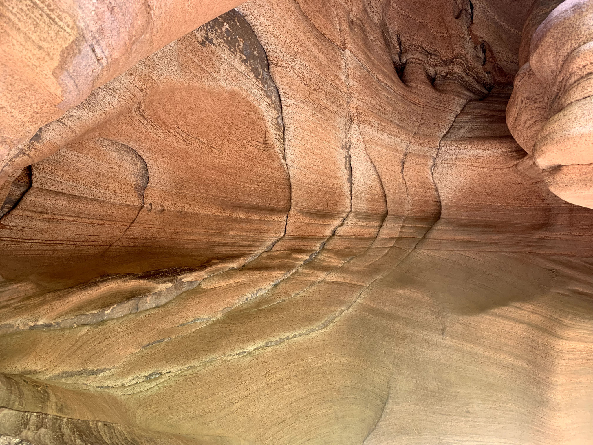 AngelsLandingCliffDetail1 – Small Wanders